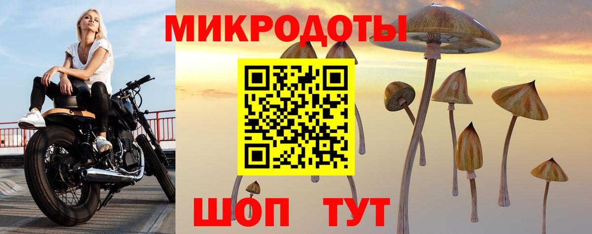 Галлюциногенные грибы Magic Shrooms Богородск